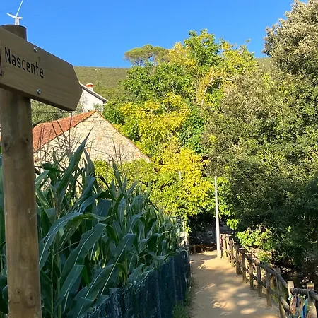 Servigueira By Grota Сasa de vacaciones *