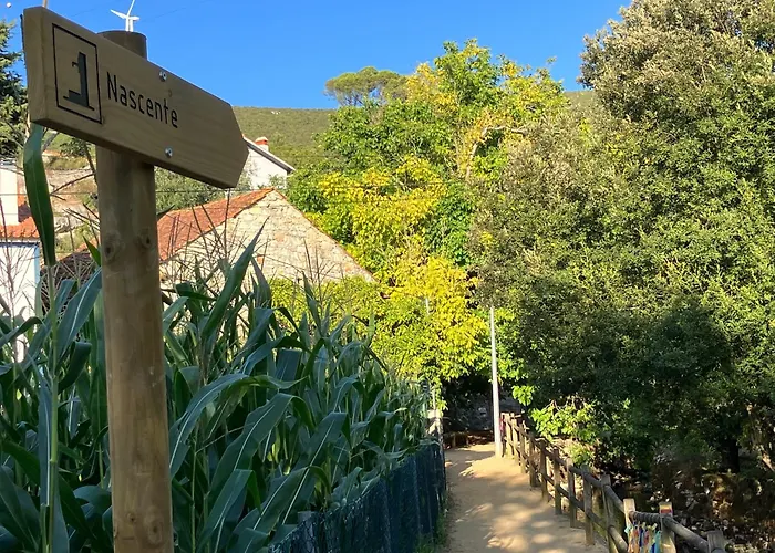 Servigueira By Grota Дом отдыха *